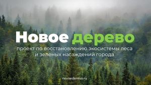 8 Презентация проекта "EcoEvent". Лидер проекта - Шопен Анна Эко ивент