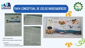 Mapa Conceptual De Ciclos Biogeoquimicos