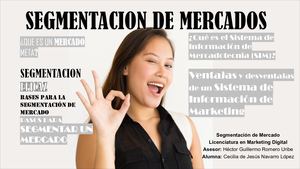 Proceso_Para_La_Segmentación_De_Mercados