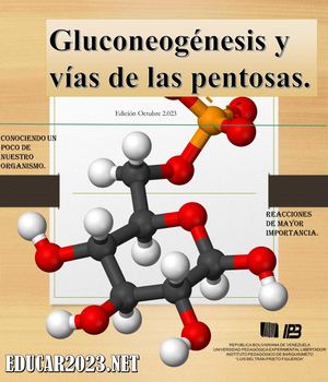 Revista Gluconeogenesis