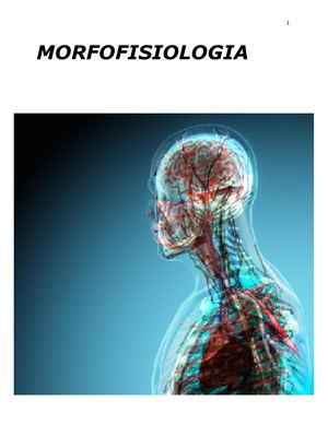 Sistemas Integral Morfofisiologia