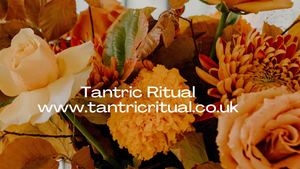 Tantric Or Erogenous Massage North London