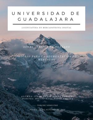 Proceso Para La Segmentación De Mercados