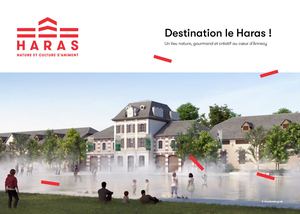 Destination le Haras !