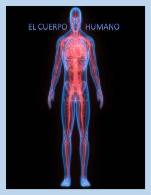 El Cuerpo Humano