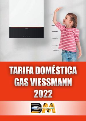 Viessmann Tarifa Doméstica 2022 Bricomur