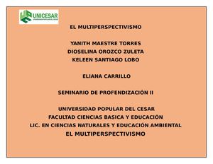 El Multiperspectivismo