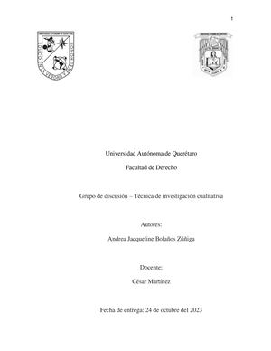 Técnica Grupo De Discusión