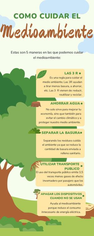 Infografía Reciclaje Día De La Tierra Ilustrado Verde