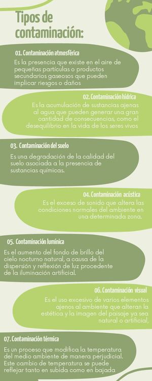 Infografía Huella De Carbono Día De La Tierra Huella Orgánico Abstracto Verde