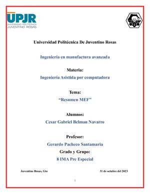 Resumen MEF