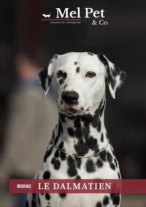 Magazine#28 - Dalmatien