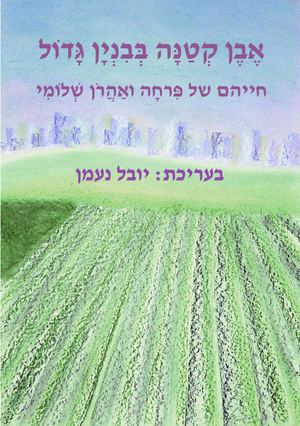 אבן קטנה בבניין גדול