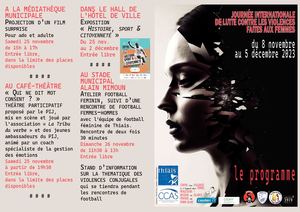Programme Journee De Lutte Contre Les Violences Faites Aux Femmes