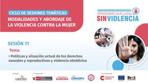 Situación Actual Y Política Sobre Derechos Sexuales Y Reproductivos Y Violencia Obstétrica