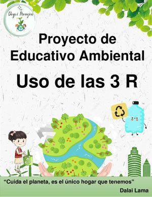 Proyecto Educativo Ambiental Deyvi 202151245