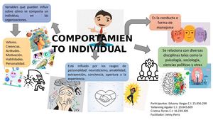 Infografia Del Comportamiento Individual