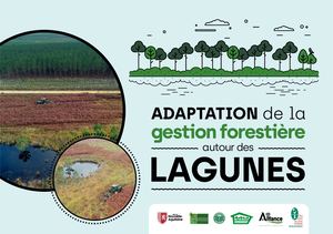 Guide Gestion Forestière Lagunes
