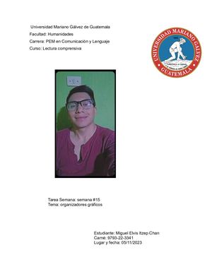 organizadores graficos