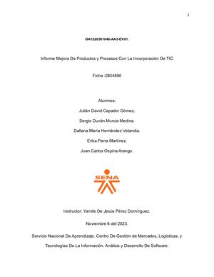 Informe Mejora De Productos Y Procesos Con La Incorporación De Tic
