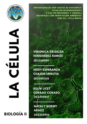 Revista Digital