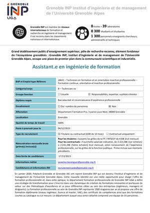 Assistant En Ingénierie De Formation Dfp