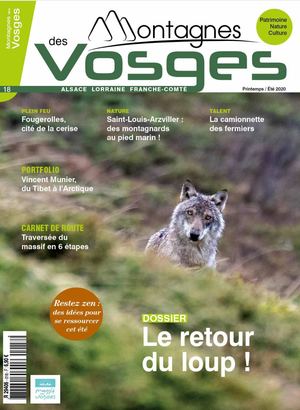 Montagnes Des Vosges Loup Copie