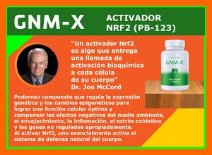 Gnmx Global