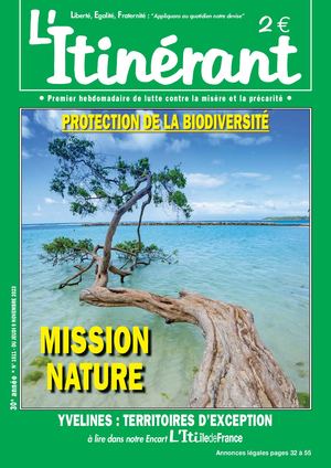 Comsol Itinerant 1511