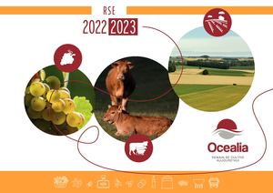 Rapport RSE DPEF 2022-2023