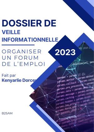 Dossier De Veille Informationnelle Projet 1 Version 3