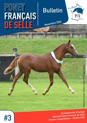 Bulletin d'information - Novembre 2023