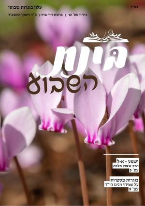בינת השבוע | גיליון מספר 10 | כ"ה חשוון תשפ"ד