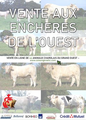 Vente Aux Encheres 2023