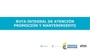 2 1 Diagrama Gsp Rias Promoción Y Mantenimiento De La Salud