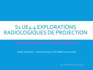 S1 Ue 4 4 Cm Radio Cheville Pied Vf