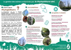 Plaquette Phytophthora 2023