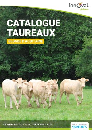 Blonde Aquitaine Sept 2023