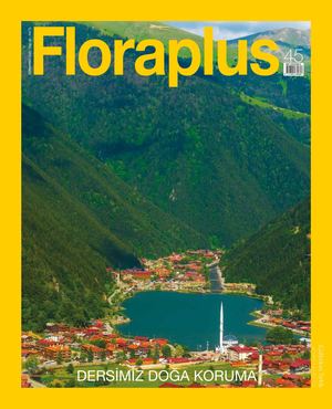 Floraplus 45