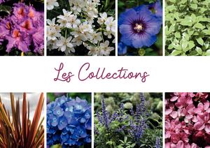 Catalogue Printemps Collections Partie 1