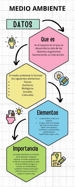 Infografia Grafico Proceso Pasos Orden Doodle Multicolor