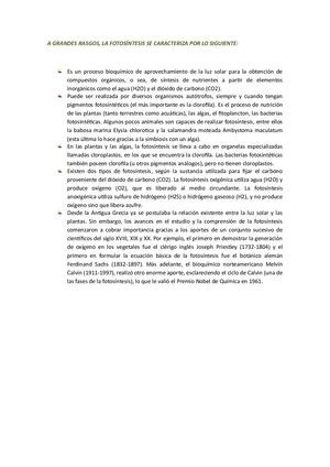 Caracteristicas Fotosíntesis