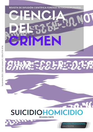 Suicidio Homicidio - Segunda Parte