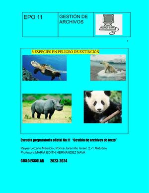 Animales en extincion