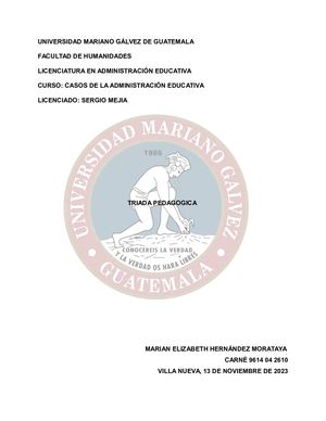 Informe Final Casos De La Admon