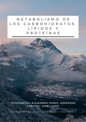 Metabolismo De Carbohidratos, Lípidos Y Proteínas