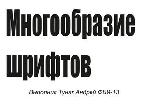Контрольная работа Туняк ФБИ -13