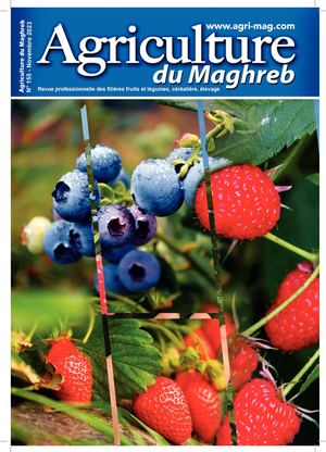 Agriculture du Maghreb N° 155 Novembre 2023