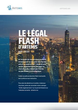 Legal Flash Artemis Mai 2023