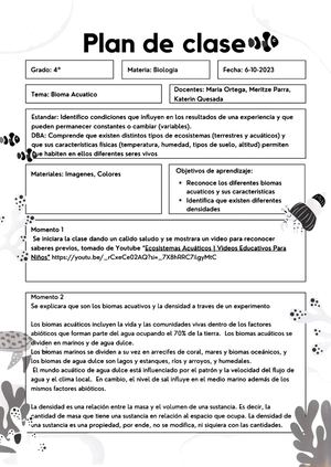 Lesson Planning (Steam)